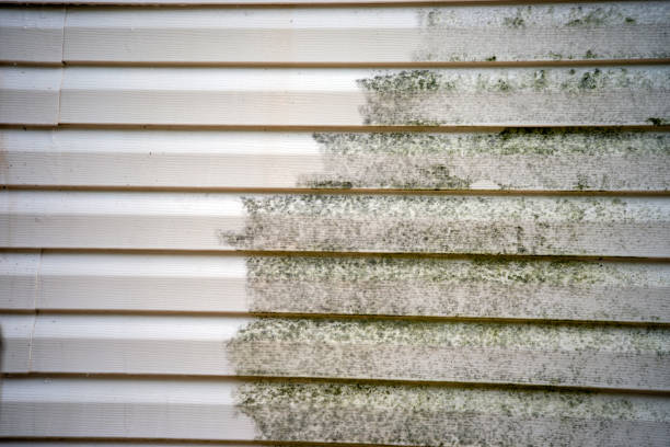 Affordable Siding Repair and Maintenance Services in Alondra Park, CA